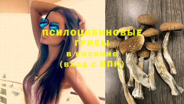 дмт Заволжье