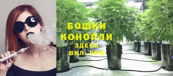 mdpv Заводоуковск