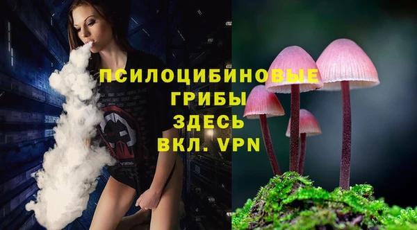 mdpv Заводоуковск